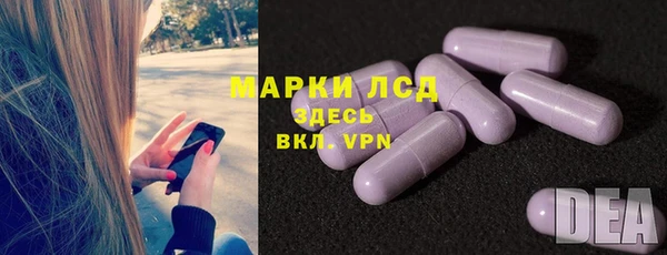 шишки Богородск