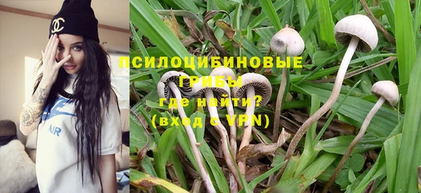 крисы Белоозёрский