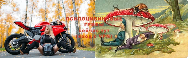 дурь Беломорск
