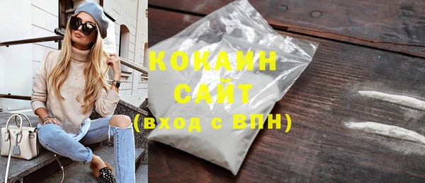 шишки Богородск