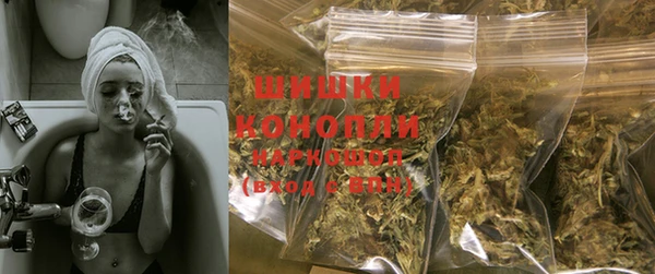 шишки Богородск